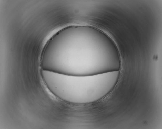 X0000114081485200910050947