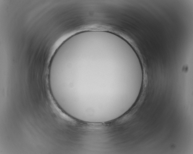 X0000114081486200910050947
