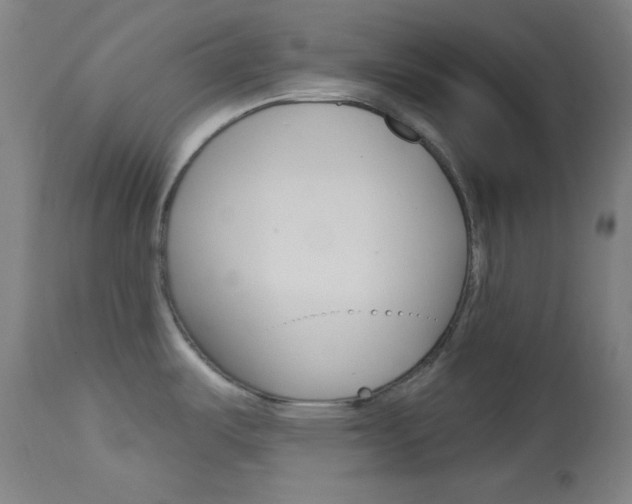 X0000114081487200910050947