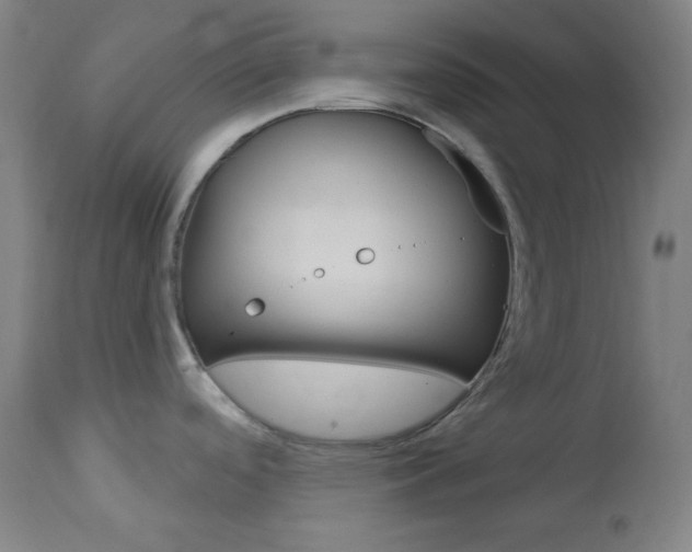 X0000114081488200910050947