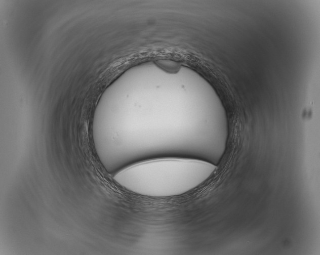X0000114081489200910050946