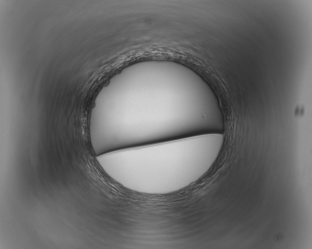 X0000114081490200910050946