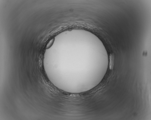 X0000114081491200910050946