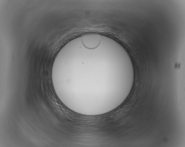 X0000114081492200910050946