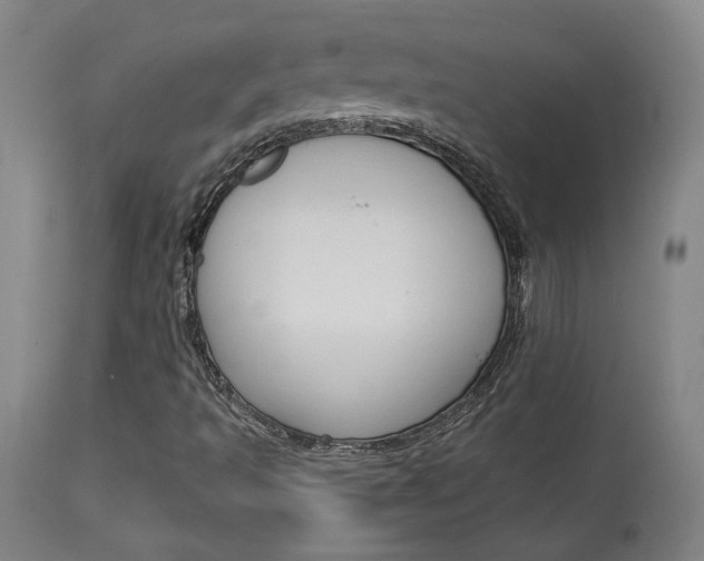 X0000114081493200910050946