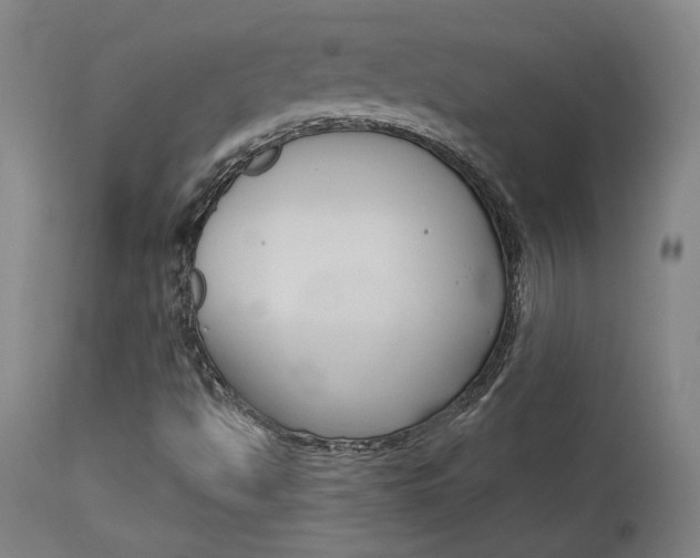 X0000114081494200910050946