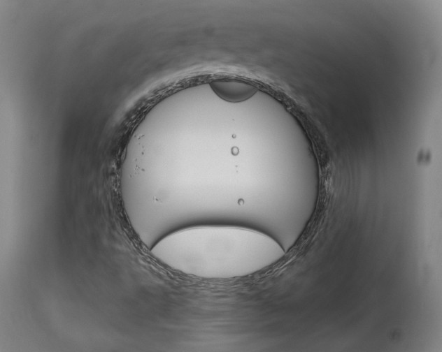 X0000114081495200910050946