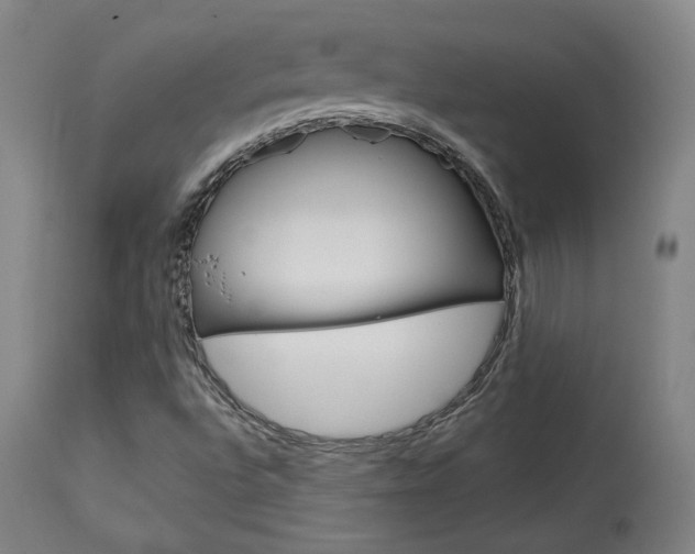 X0000114081496200910050946