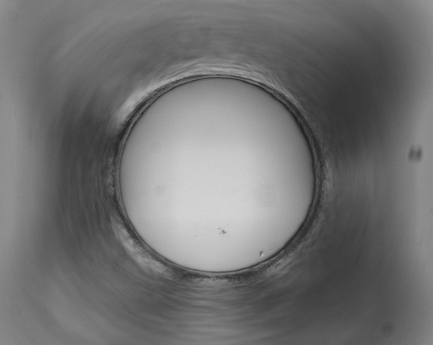 X0000114081499200910050947