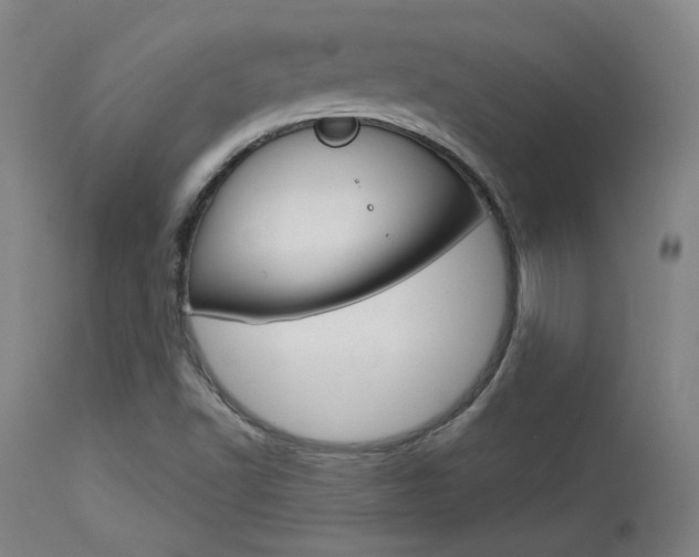 X0000114081502200910050947