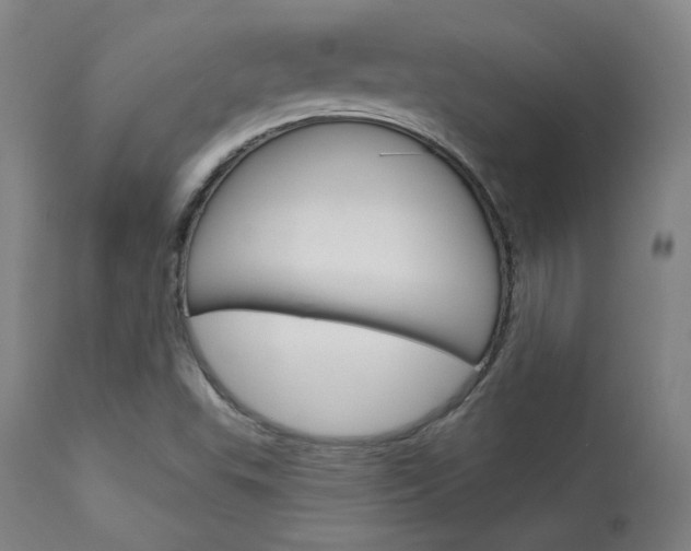 X0000114081503200910050947