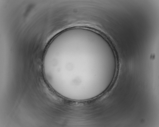 X0000114081505200910050947