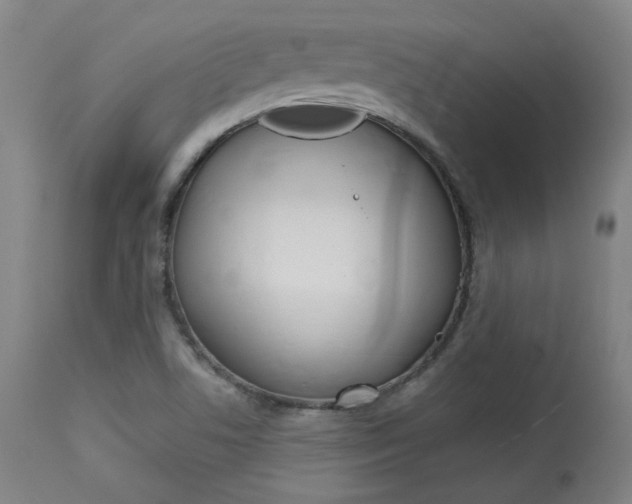 X0000114081506200910050947
