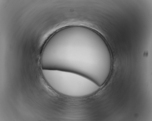 X0000114081507200910050947