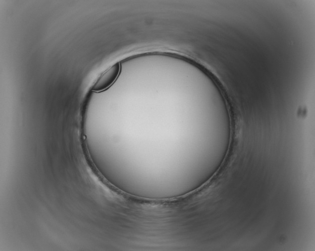 X0000114081508200910050947
