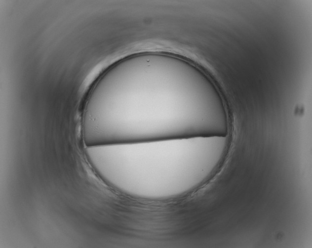 X0000114081509200910050947