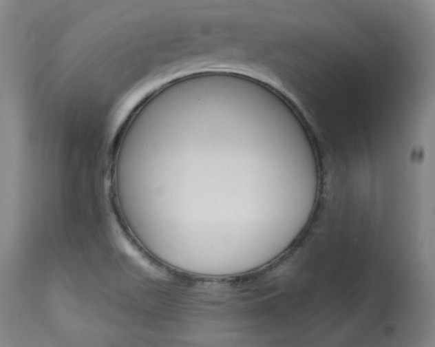 X0000114081511200910050947