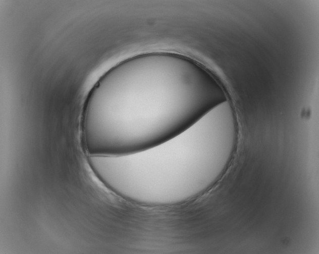 X0000114081512200910050947