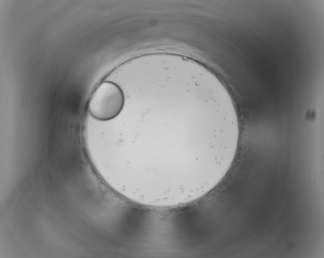 X0000114081514200910050947