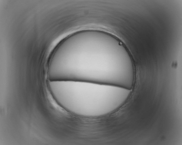 X0000114081515200910050947