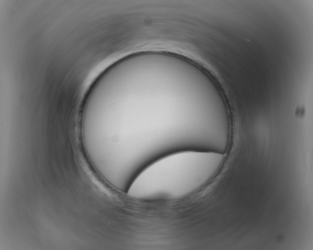X0000114081517200910050947