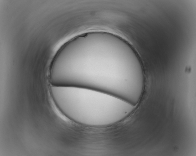 X0000114081519200910050947