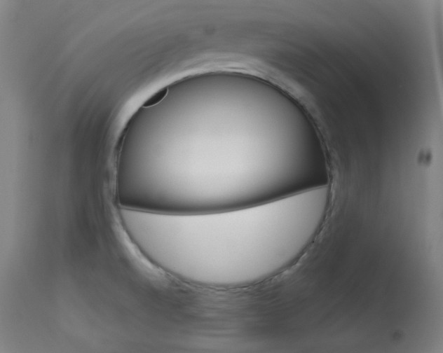 X0000114081520200910050947