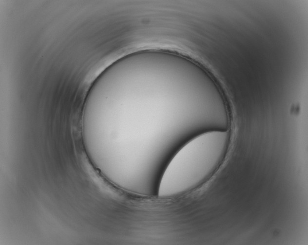 X0000114081521200910050947