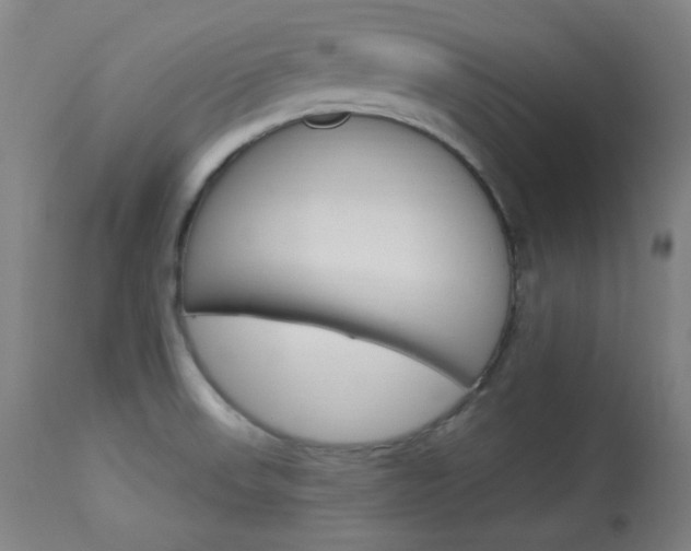 X0000114081523200910050947