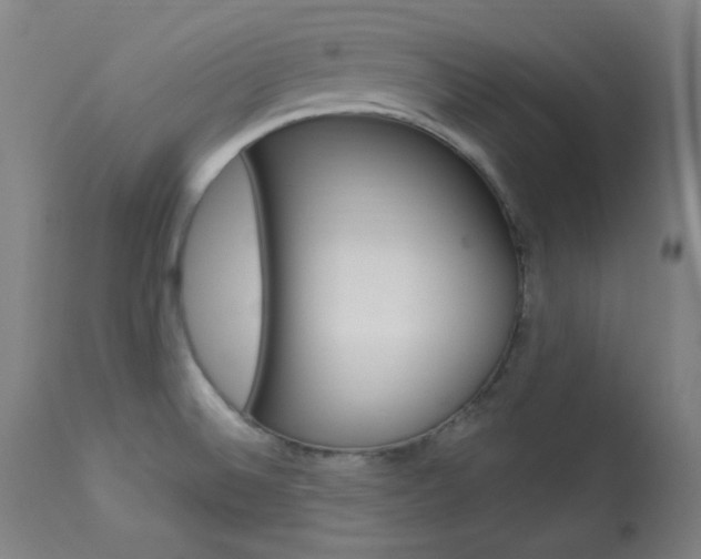 X0000114081524200910050947