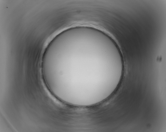 X0000114081525200910050947