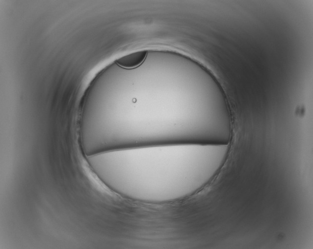X0000114081526200910050947