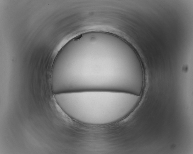 X0000114081529200910050947