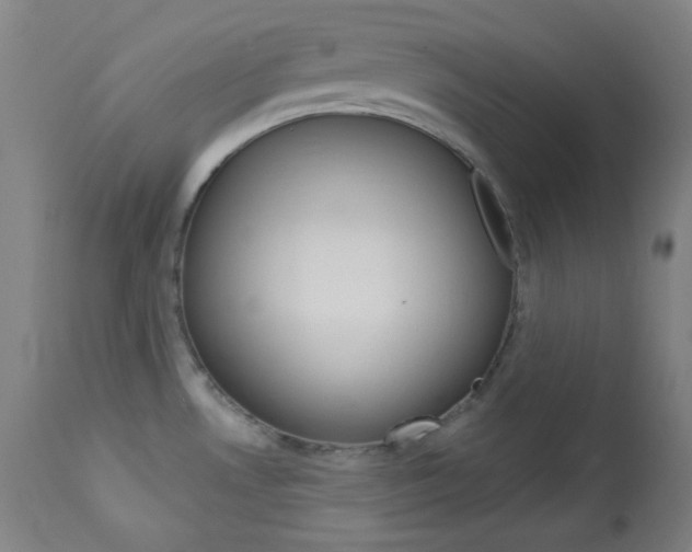 X0000114081530200910050947