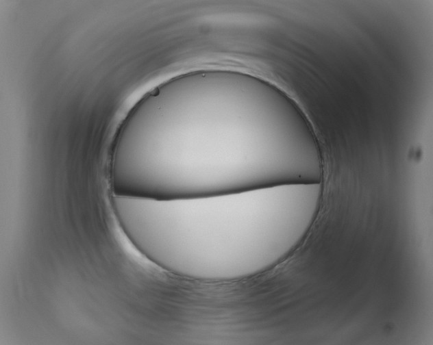 X0000114081531200910050947