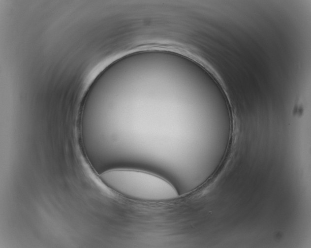 X0000114081533200910050947