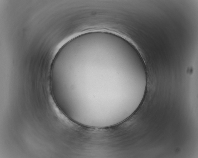 X0000114081534200910050947