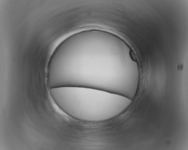X0000114081535200910050947