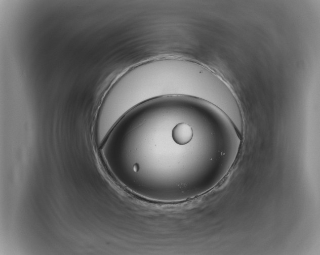 X0000114080001200910051408