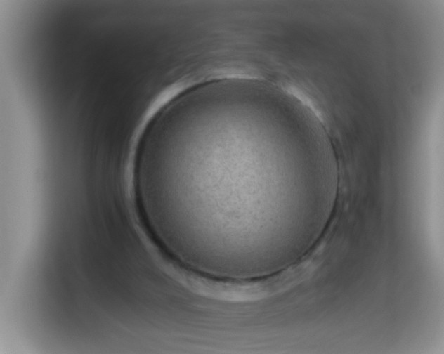 X0000114080008200910051408