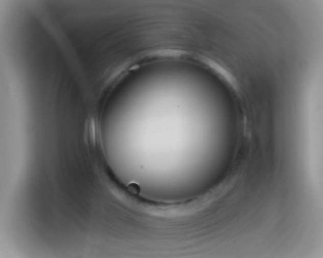 X0000114080013200910051408