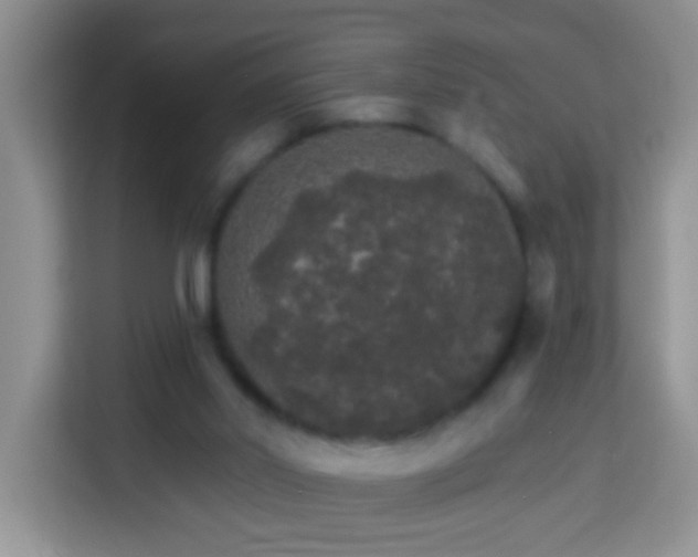 X0000114080014200910051408