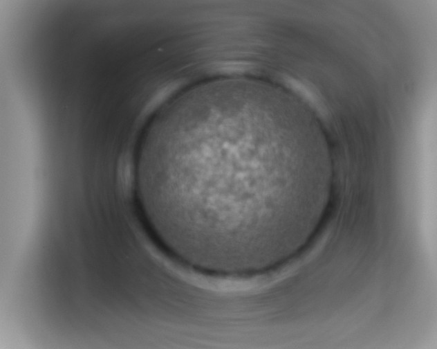 X0000114080016200910051408