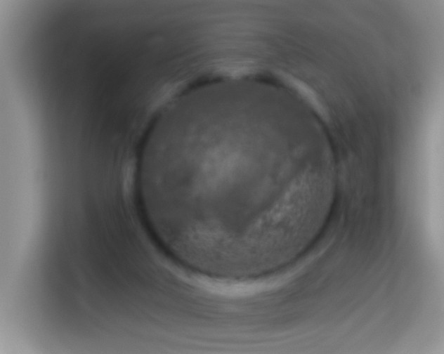 X0000114080018200910051408