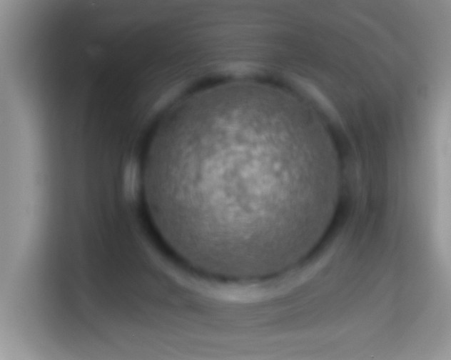 X0000114080024200910051408