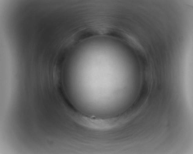 X0000114080030200910051408