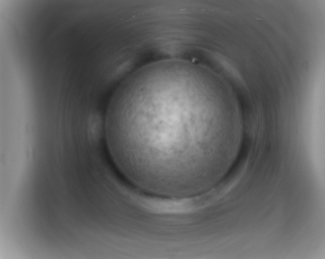 X0000114080036200910051408