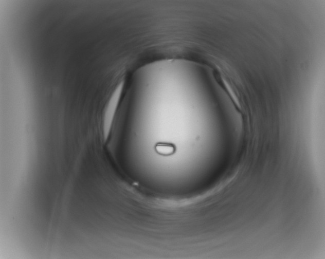 X0000114080037200910051408