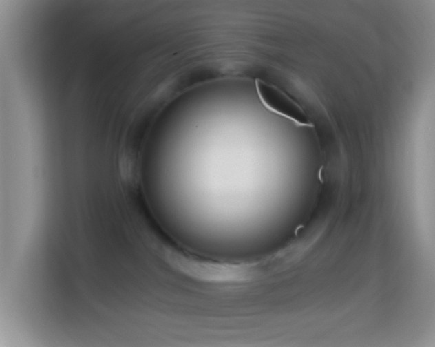 X0000114080044200910051408