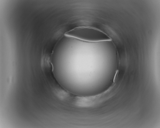 X0000114080045200910051408